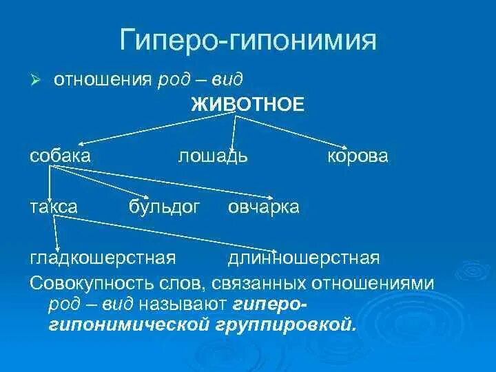 Гиперо-гипонимия. Гиперо-гипонимические отношения примеры. Гиперо-гипонимические (родо-видовые) отношения. Гиперо-гипонимические отношения в лексике. Семантическое изменение слова