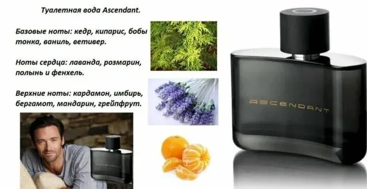 Туалетная вода Орифлэйм эскендант. Туалетная вода Oriflame Ascendant. Мужская туалетная вода Ascendant Орифлейм. Орифлейм мужские туалетные воды Ascendant белый.