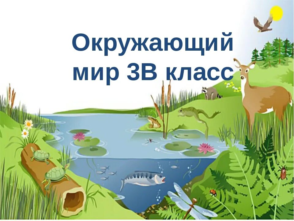 Природные сообщества. Природный мир водоемов. Природное сообщество водоем 3 класс. Урок окружающий мир. Конспект урока 3 класс природные сообщества