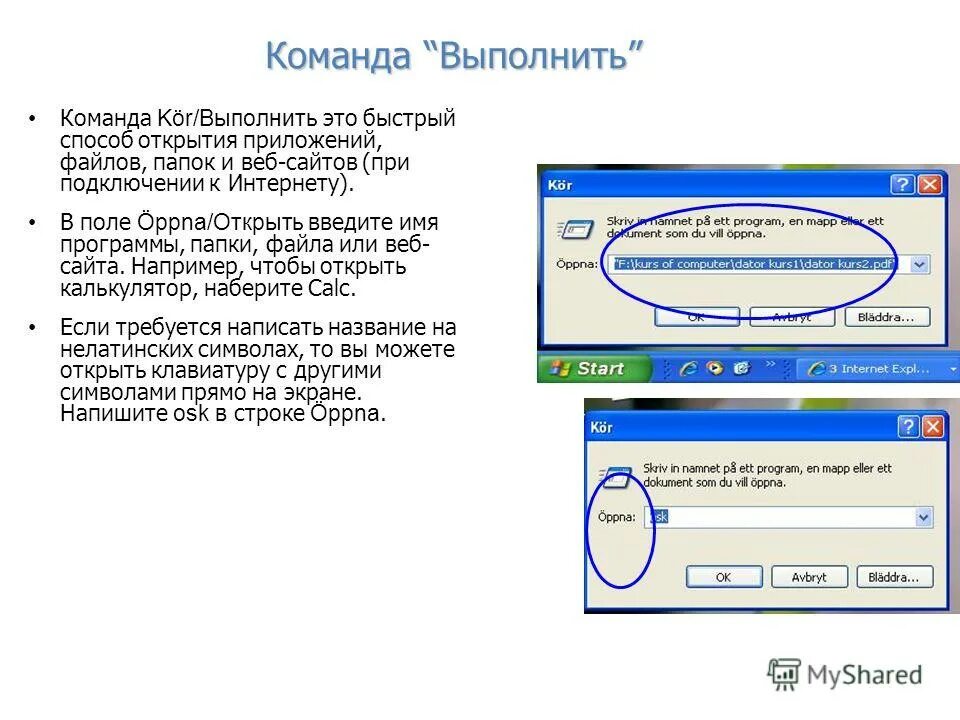 Введите имя. Латинские буквы цифры и дефис. Имена переменных могут включать. Имя программы. Что такое имя программы.