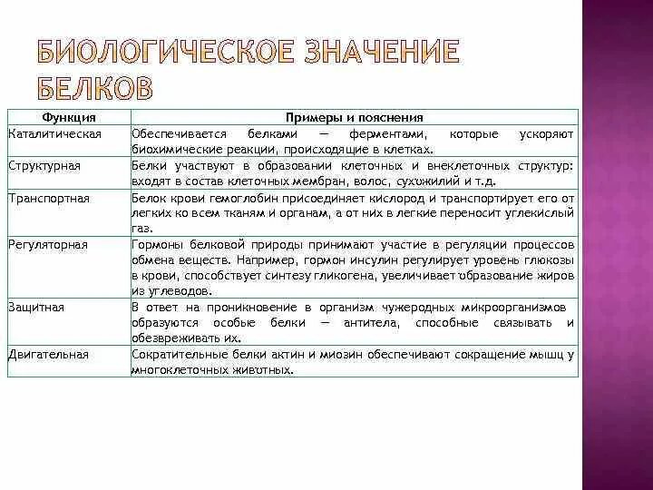 Лекция 3 Основы общей цитологии Строение и функции