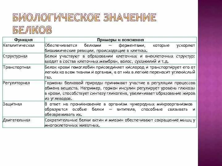 Функция структурная транспортная. Характеристика каталитической функции белков. Каталитическая функция белков таблица. Функции белков с примерами. Функции белков с примерами белков.