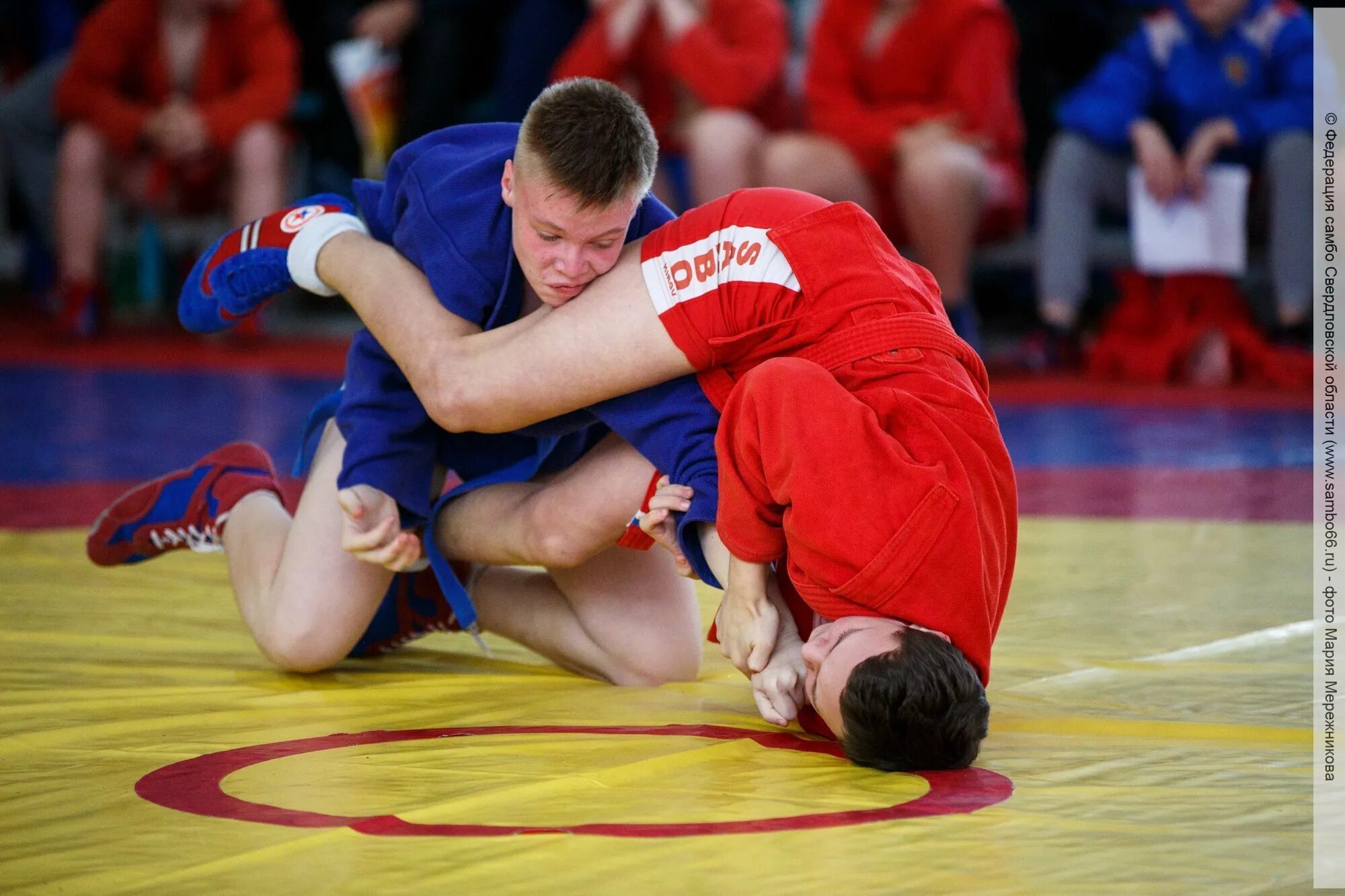Спорт боевое самбо. Боевое самбо чита. Самбо борьба. Самбо сборная. Кубок губернатора ярославской области по самбо.