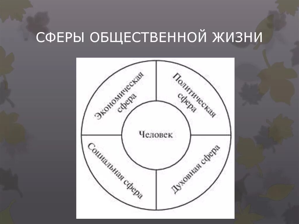 Критерии сферы жизни. Сферы жизни общества. Три сферы жизни общества. Сферы общественной жизни иллюстрации. 4 Сферы жизни общества.