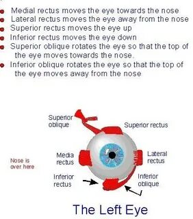 Move eye