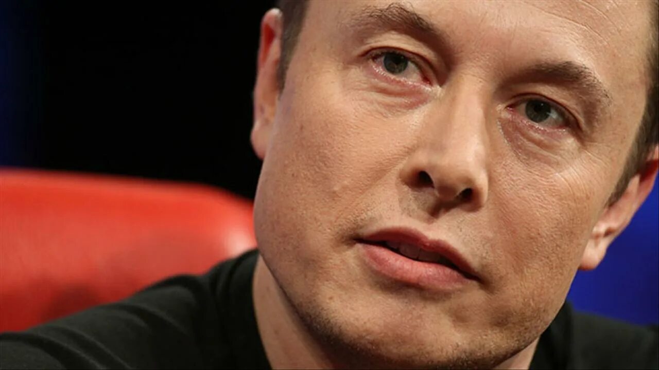 Elon musk knigi. илон маск эшли. эшли вэнс илон маск. книга илона маска дорога в будущее. эшли вэнс илон.