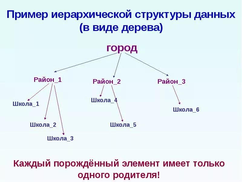 Иерархическая структура. Структура данных пример. Иерархия примеры. Пример иерархической структуры данных. Основной состав пример