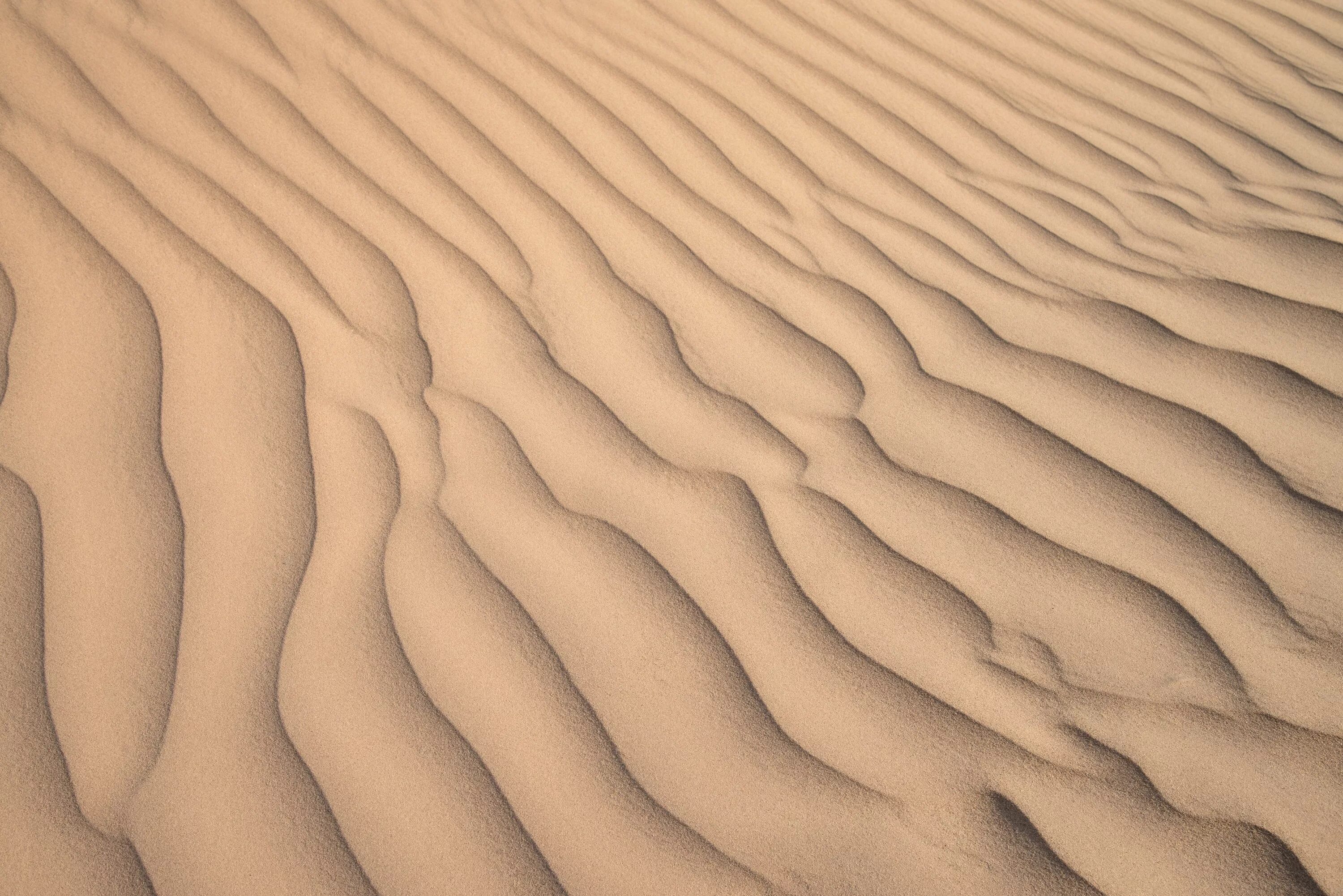 Песок текстура. Эль хамра пустыня. Песчаные дюны в сычево. Песок в пустыне текстура. Пустыня эрг.