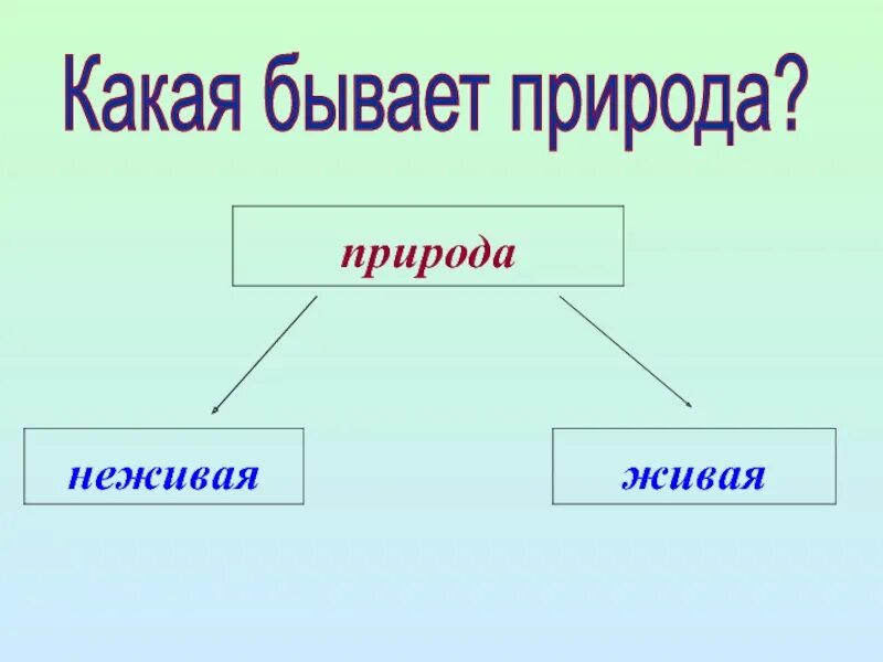 Живая и неживая природа. Какая бывает Живая природа. Природа бывает Живая и неживая. Какая бывает природа 2 класс.