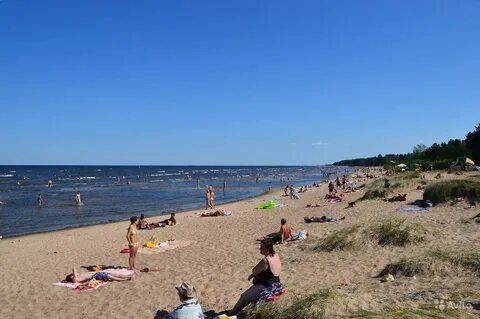 Ладожская участок