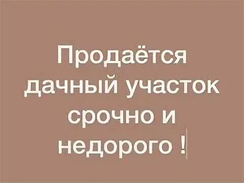 Авито работа дербент