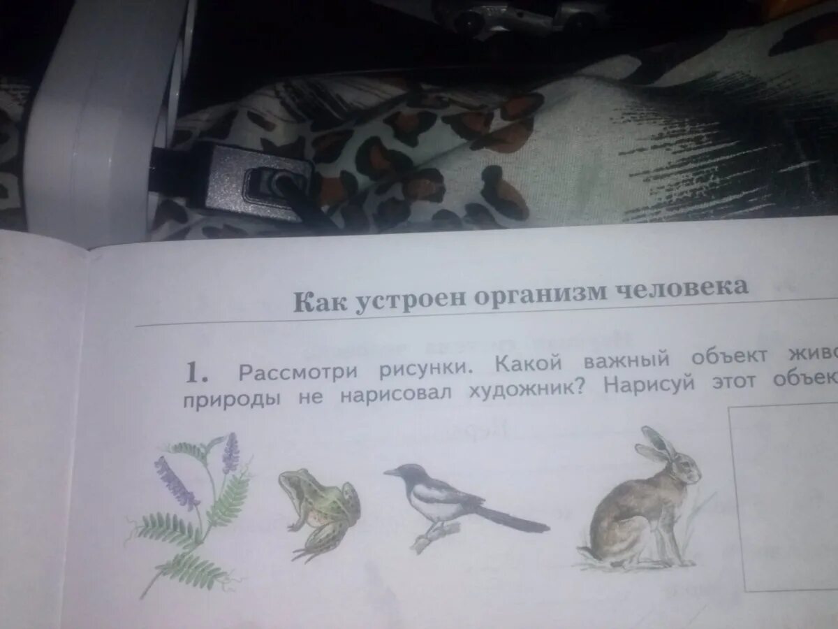 Рассмотри рисунок объясни. Рассмотрим рисунки какой важный объект живой природы. Рассмотри рисунки какой важный объект живой природы не нарисовал. Рассмотрите иллюстрации на с 34-35. Рассмотрите фотографию для иллюстрации какой.