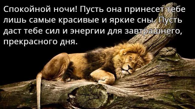 Спи смело