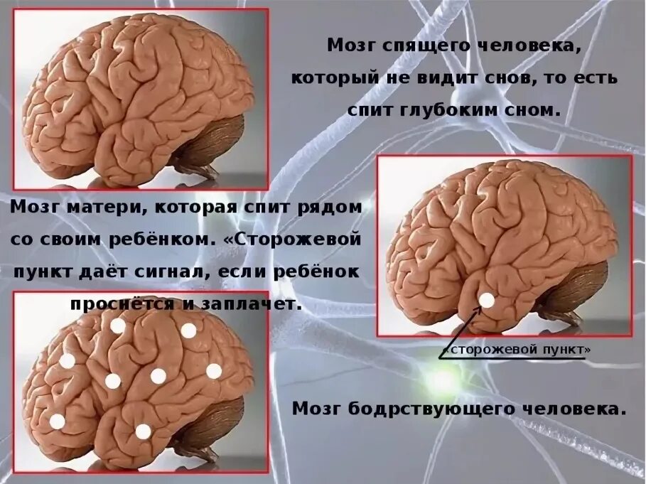 Как видеть мозгом