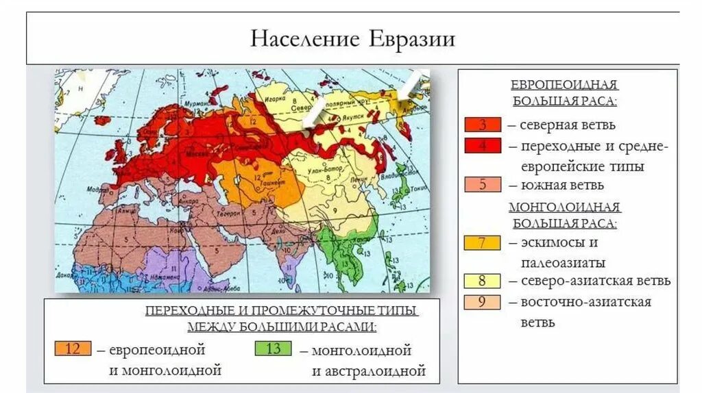 По географии 7 население евразии
