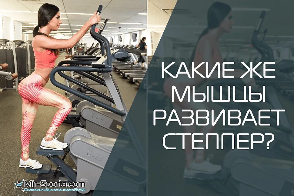 Степпер какая группа мышц. Степпер на какие группы мышц. степпер тренажер группы мышц. степпер мышцы. степпер какие мышцы.