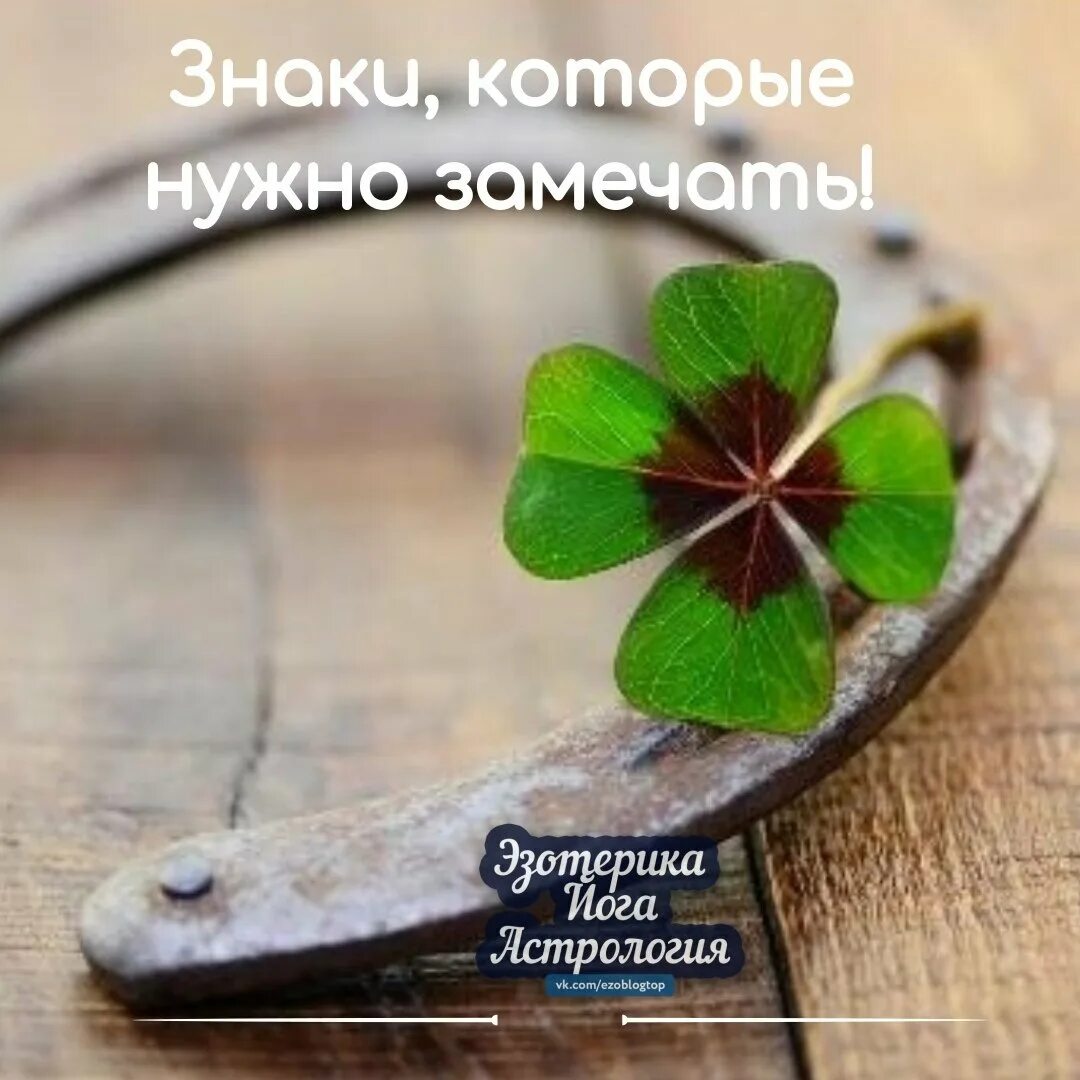 Удача org