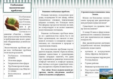 Буклет глобальные проблемы