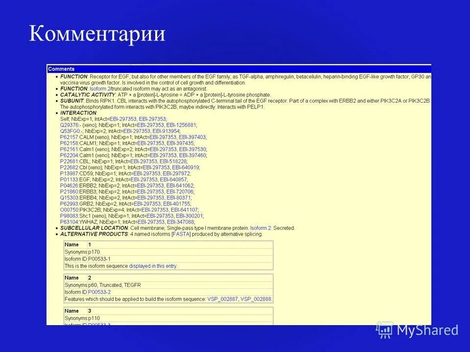 Таблички no entry оригинальные. Entry name. Spring hystrix. Unity-control-center. Знак но ентри.