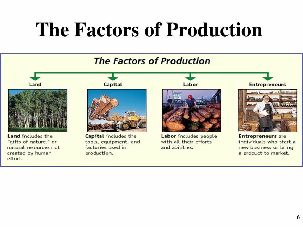 Factors of production human capital. Land as a factor of production. Factors of production are:. Internal and external factors that influence business performance. Factors of production are:.
