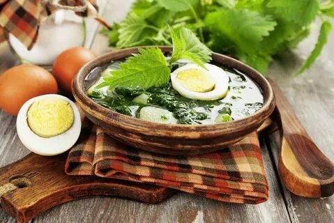 Блюда из крапивы молодой