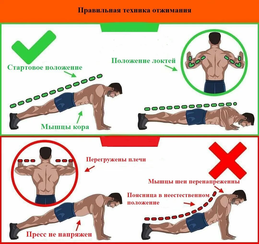 При отжимание хрустит. Виды отжиманий. Отжимания на грудные мышцы. Правильная техника отжиманий от пола для мужчин. Виды отжиманий на грудные мышцы.