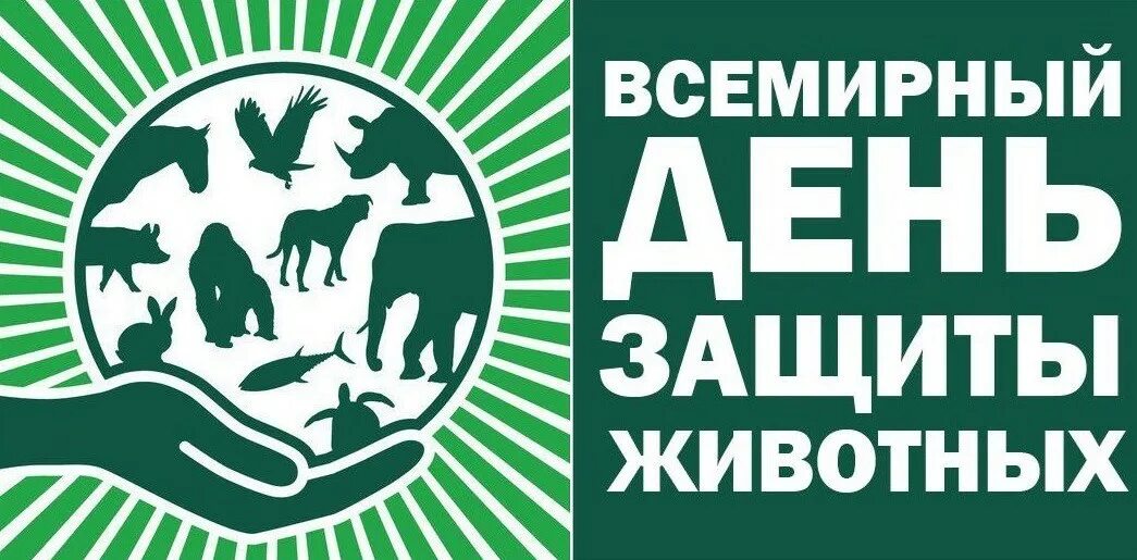 День защиты животных в группах "Тили-мили-трямдия" и "Мечтатели" - YouTube