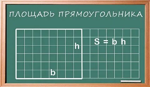 Как найти площадь прямоугольника длина 2 ширина