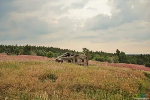 Старое земельные участки