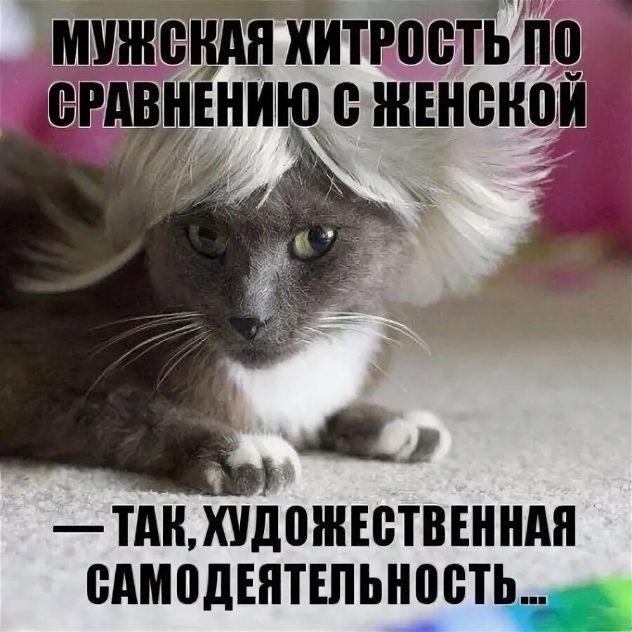 Хитрость дата. Хитрость юмор. приколы про хитрость. женские хитрости приколы. хитрые шутки.