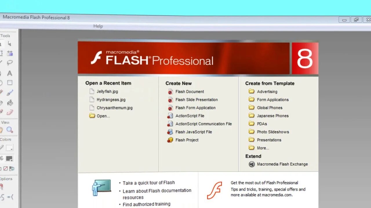 Макромедиа флеш 8. Macromedia Flash. Macromedia Flash professional. Macromedia Flash professional 8.