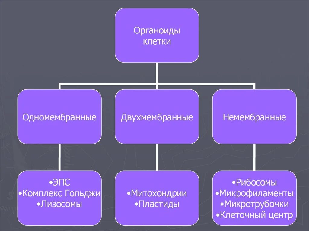 Частини мови. Службові частини мові. Частыини мови службови. Частыини мови службови. Службові частини мови таблиця.
