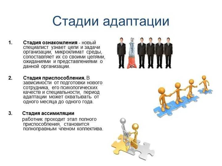 Персонал организации движение. Стадии адаптации сотрудника в организации. Этапы процесса адаптации персонала. Этапы адаптации сотрудника в организации. Стадии адаптации персонала.