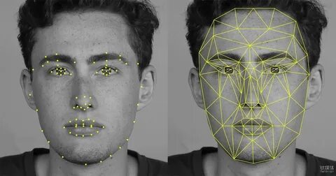 Top 10 Facial Recognition APIs (Updated for 2021) RapidAPI 