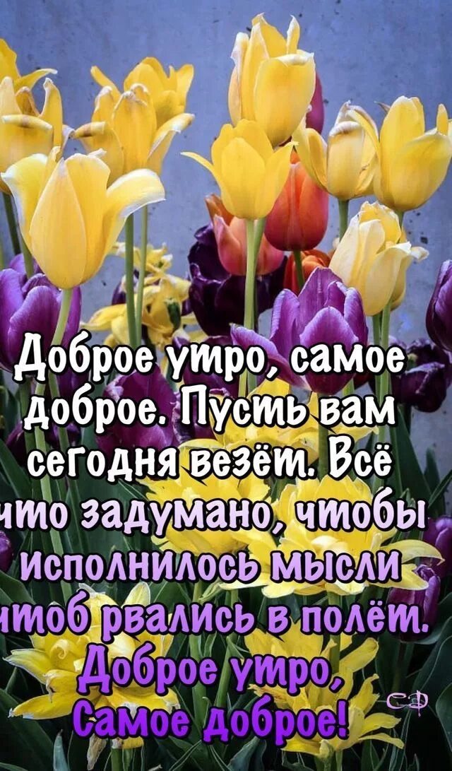 С добрым утром с пожеланиями здоровья. Теплая открытка с добрым утром. Пусть утро будет добрым и светлый. Пусть утро будет добрым и светлый. Пусть утро.