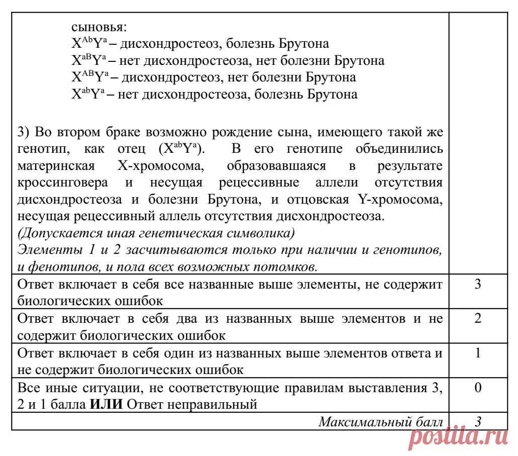 Задачи на псевдоаутосомные участки егэ биология