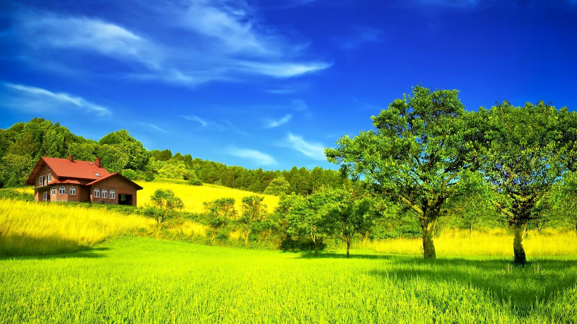 Nature search