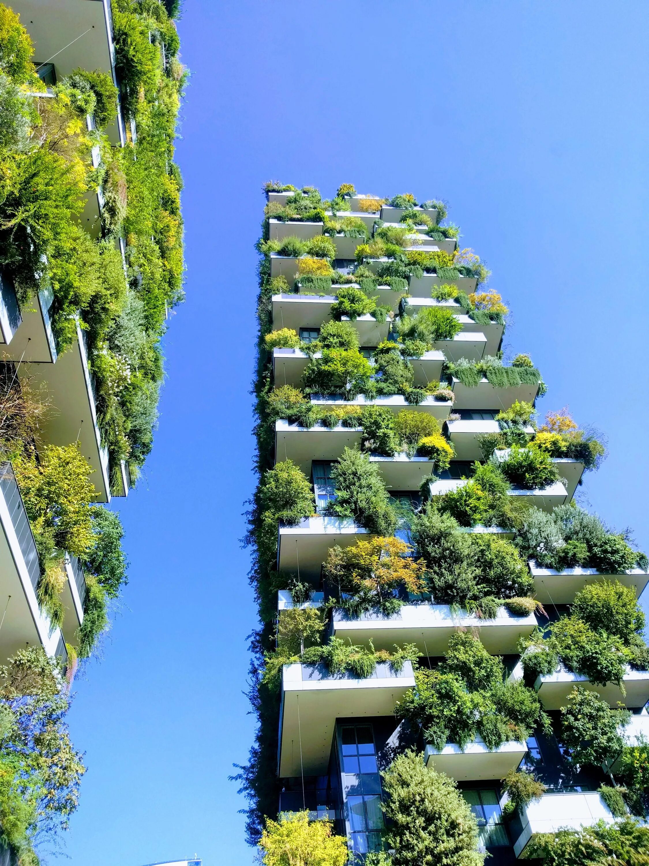 Вертикальные объекты. Bosco verticale Милан. Дом Bosco verticale. Зеленый многоярусный лес Bosco verticale в Милане. Зеленый дом Милан Италия.