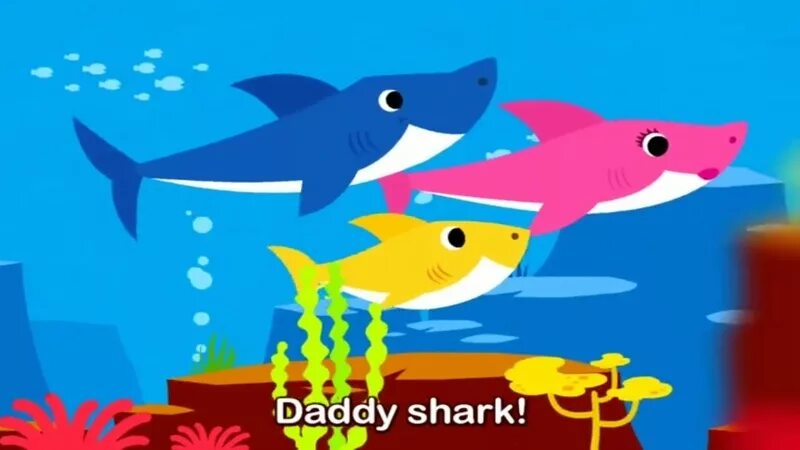 Акулёнок туруруру. Акула акулёнок туруру. Детские песенки Акуленок. Я акула туруруру