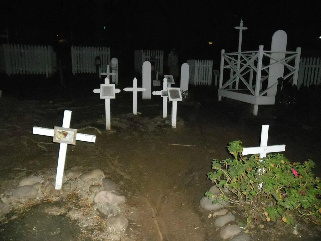 Жизнь на кладбище купить. Приведение на кладбище ночью. Кладбище ночью с призраками.