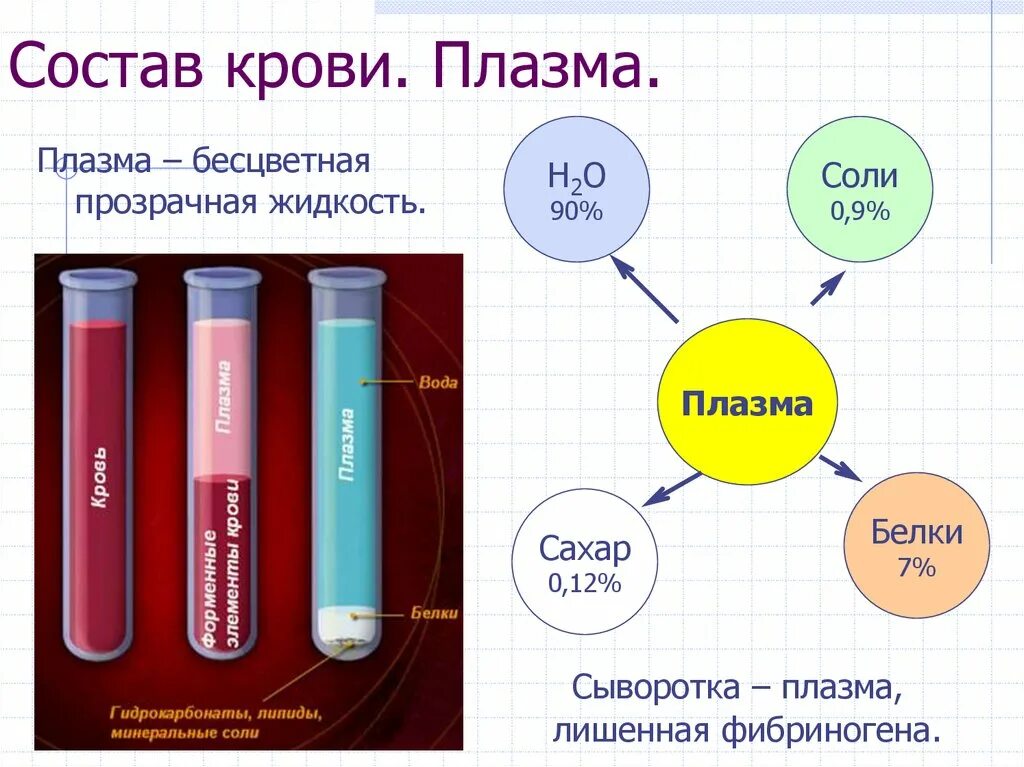 Плазма состоит из. Состав крови состав сыворотки плазмы крови. состав плазмы человека. что такое плазма крови? состав плазмы.. что такое плазма крови? состав плазмы крови..