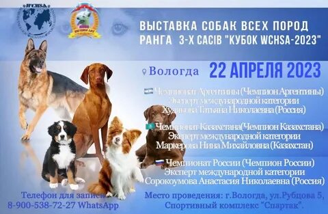 Зоопортал казань