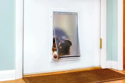 Возьму дверь