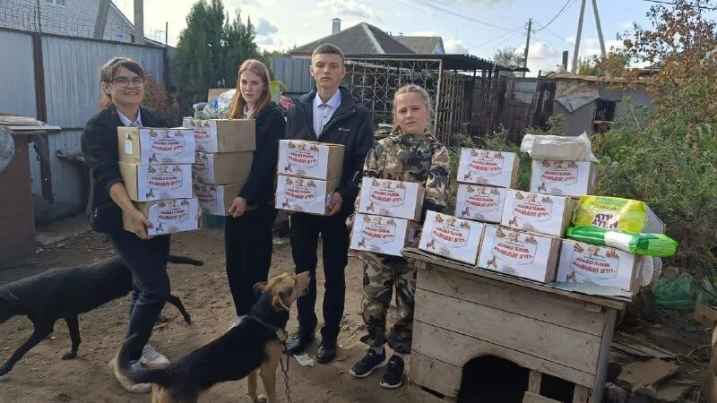 фото грустной собаки в приюте. приют в бийске. приют для собак в бийске. приют преданность. зоозащитники.