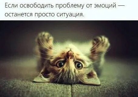 Мысли клаб