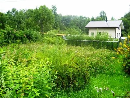 Продам участок дружба