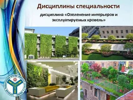 Строительство дисциплины