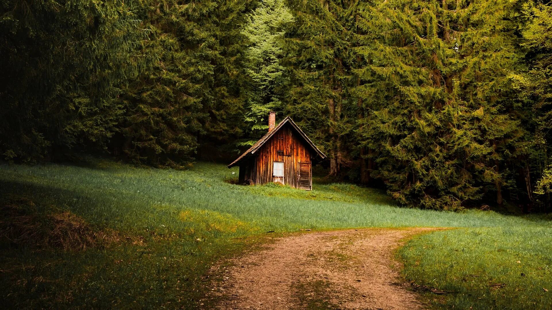 Боровецкий лес дом отшельника. Деревянный домик в лесу. Дом в лесу. Уютный домик в лесу.