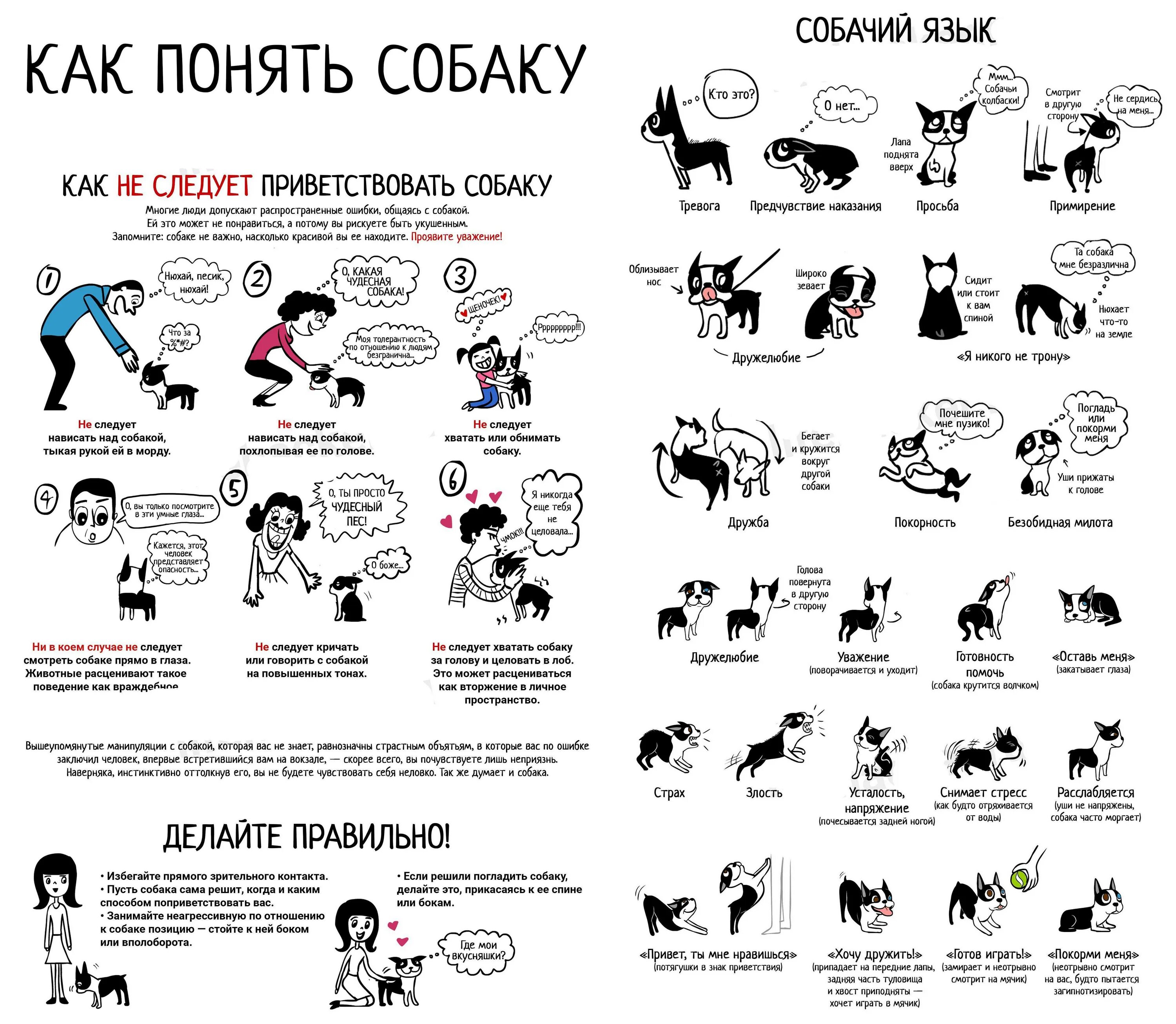 Собачий значение