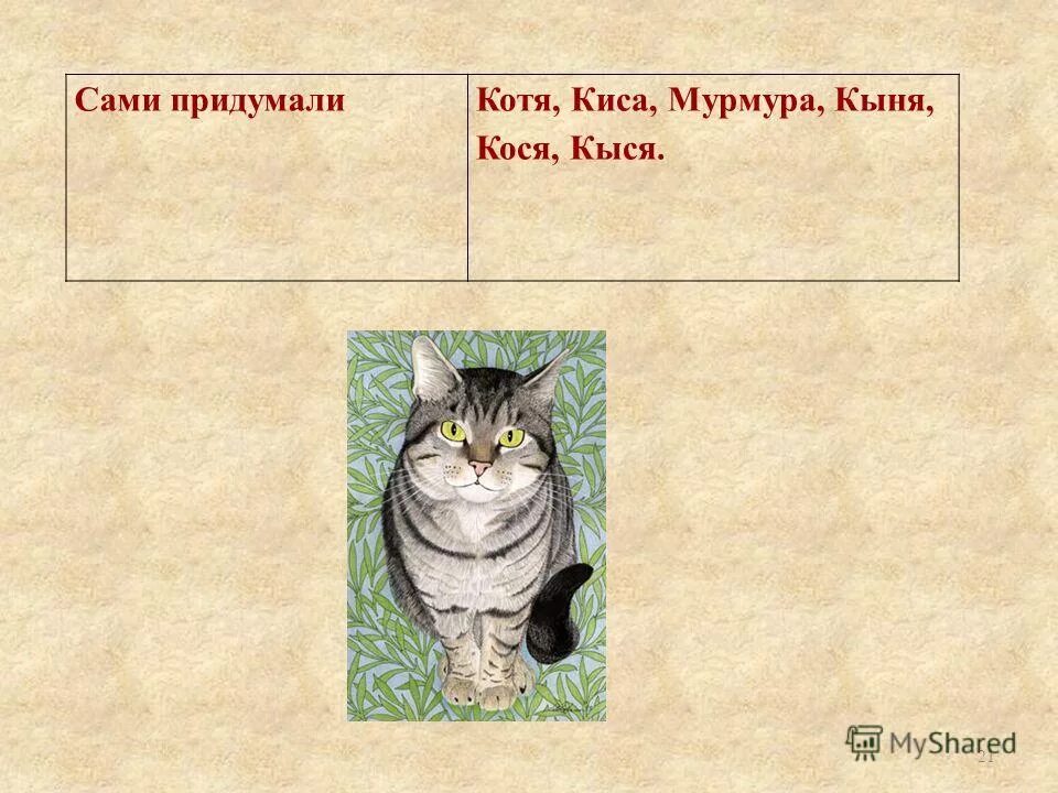 Интересные клички для котов. Красивые имена для кошек девочек. Имена для котов мальчиков русские. Клички котов мальчиков красивые.